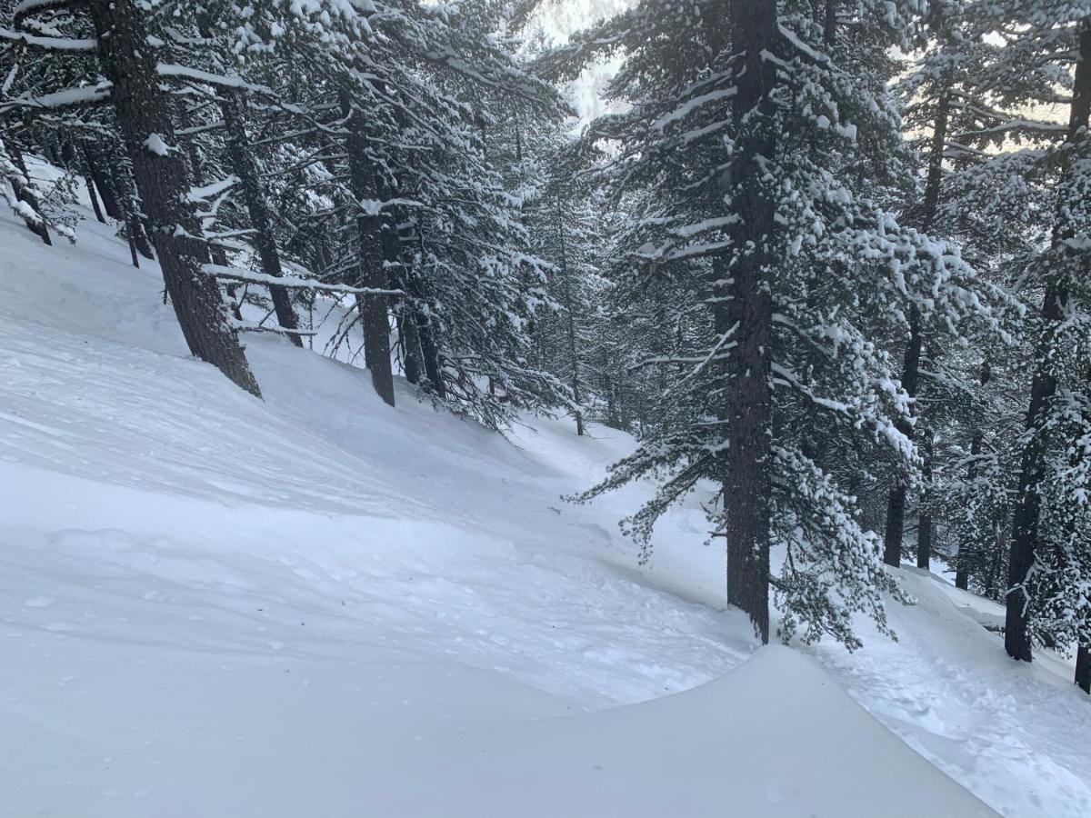 Entire Private Apartment In Pirin Golf & Country Club バンスコ エクステリア 写真